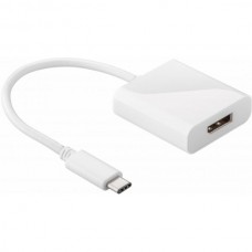 Adapter USB Type-C ™ moški - ženski  DisplayPort ™ 4K (60Hz)